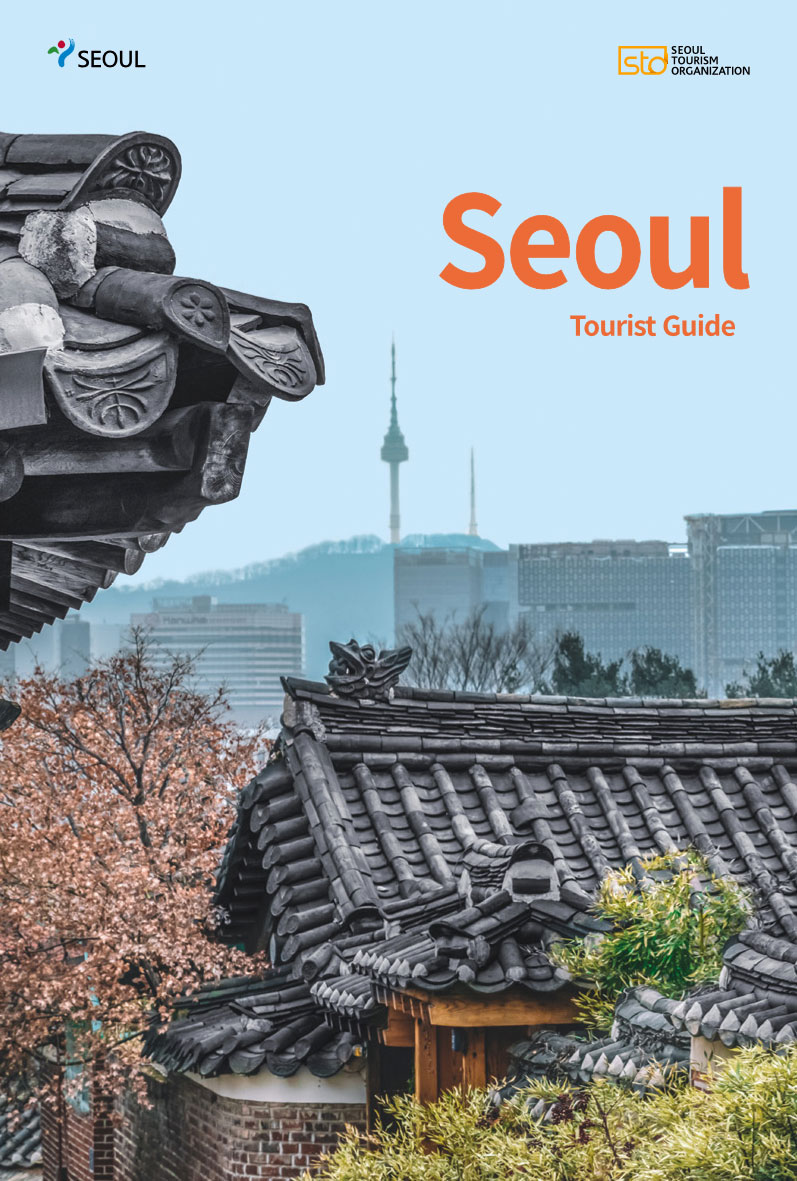 The background of the N Tower in Seoul is written as the Seoul Tourist Guide.